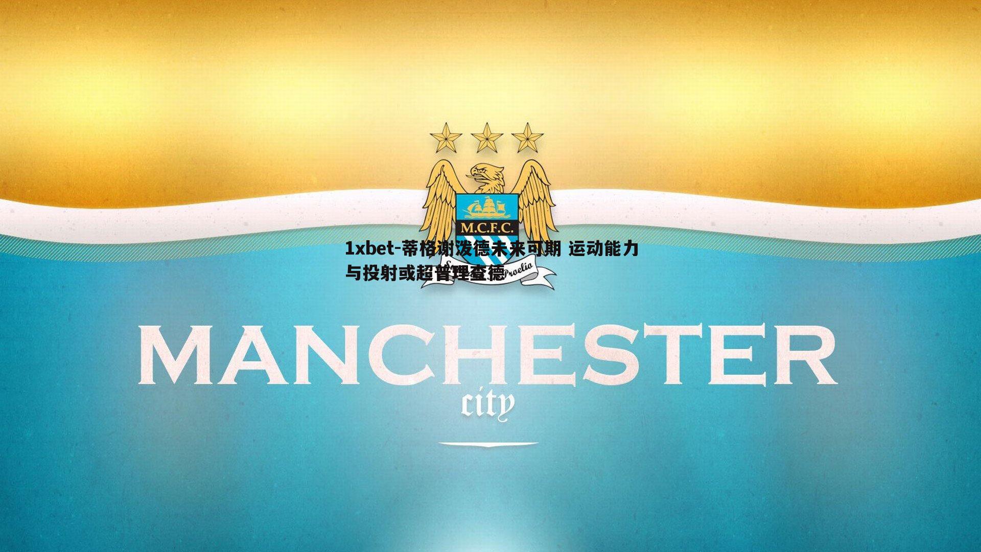 蒂格谢泼德未来可期 运动能力与投射或超普理查德